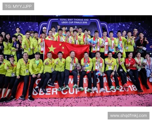 武汉羽毛球队世锦赛征程回顾与突破成就的深度分析