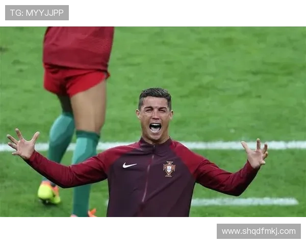 武汉网球队在欧锦赛上的拼搏历程与荣耀时刻的特别报道