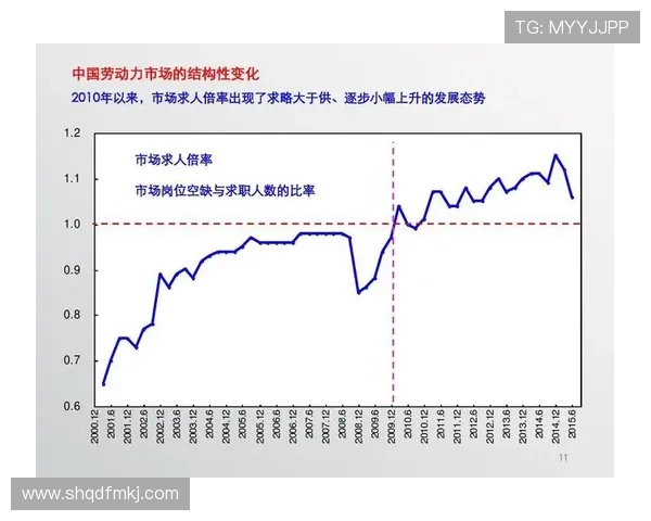 武汉羽毛球队全运会精彩表现分析团队协作的重要性与未来展望