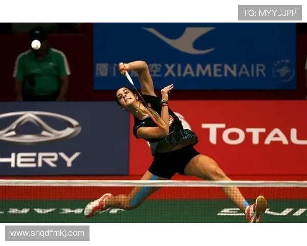 武汉羽毛球队节奏对比深度解析与战术演变探讨 武汉羽毛球队节奏对比深度解析与战术演变探讨