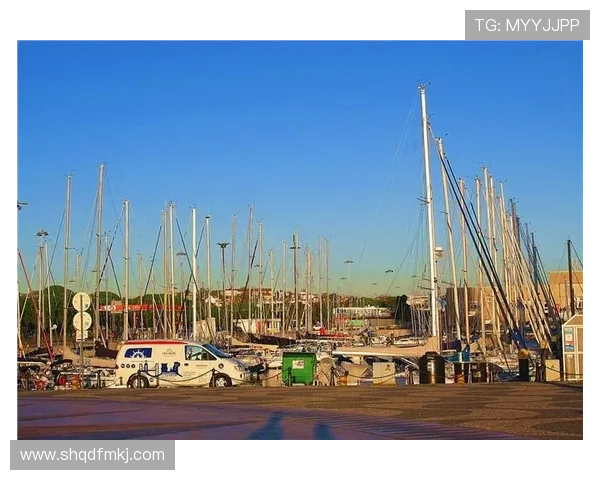 武汉足球队在钻石联赛中的拼搏历程与未来展望