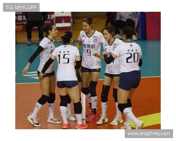 深圳排球队在全国排球配合排行榜中荣登第七名展现强劲实力