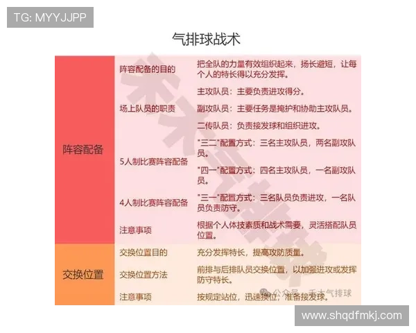 西安排球队战术解析与排球比赛策略深度剖析