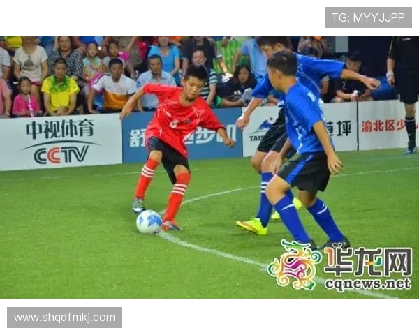 重庆足球队总决赛表现分析：经验与战术的完美结合