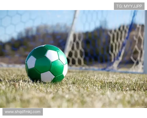 八字传奇足球明星们的辉煌与梦想