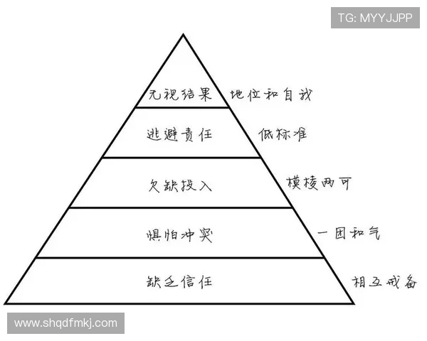 重庆羽毛球队团队协作的创新变革与热议探讨