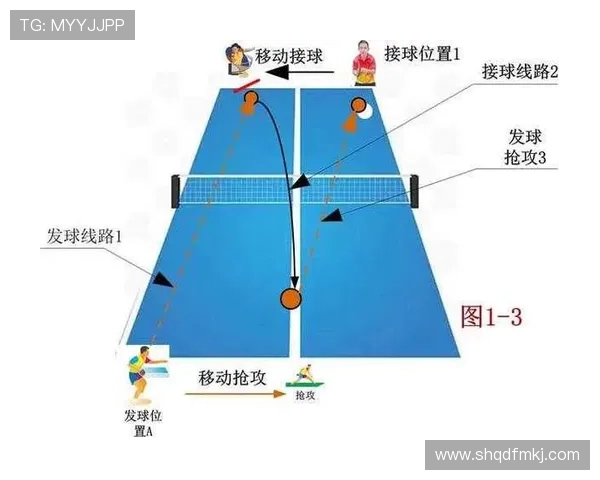乒乓球战术揭秘：杭州乒乓球队如何构建高效区域防守体系