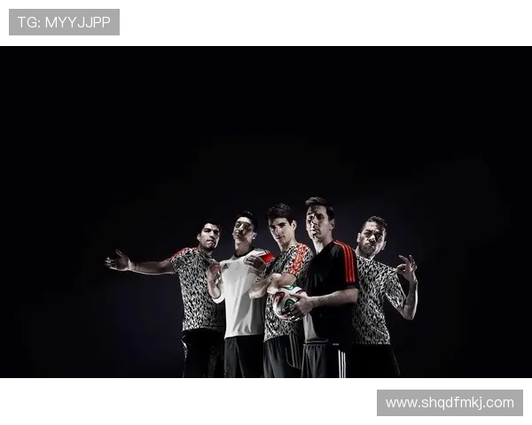 全国足球明星风采展示与成就回顾全景解析