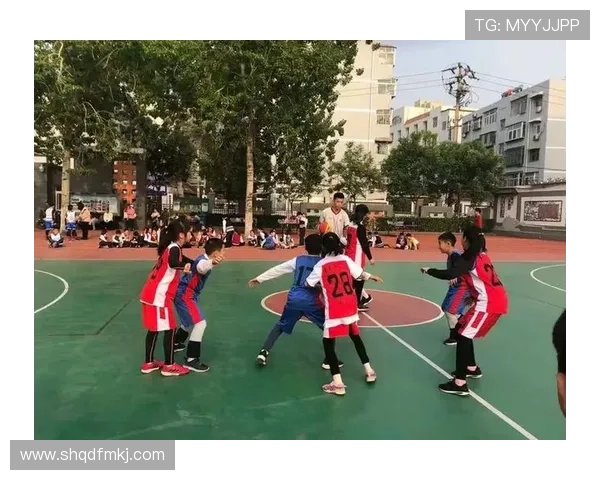 广州篮球队精英赛之路：从艰辛起步到辉煌成就的奋斗历程